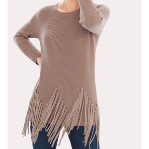 Chicos Silver Fringe Sweater 2 M Taupe  Chunky Knit Pullover Roll Neck Womens LS